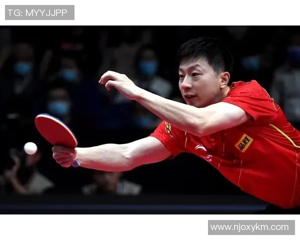 深入分析北京乒乓球队阵地战策略与技术特点的专业解读